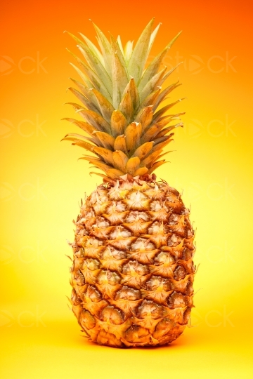 Ananas vor gelbem Hintergrund 20120307_0233