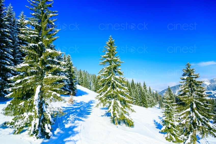 Ski Ausflug 20130217-0074
